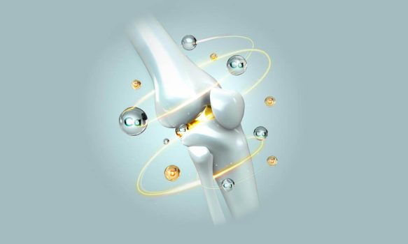 signaficant-cartilage